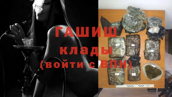 крисы Коряжма