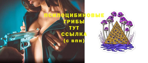 мдпв Корсаков