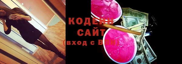 крисы Коряжма