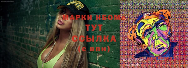 крисы Коряжма