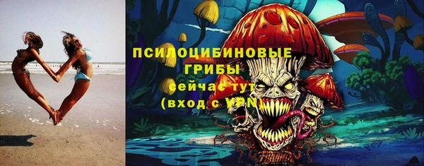 таблы Краснослободск