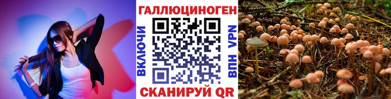 Галлюциногенные грибы MAGIC MUSHROOMS  Купить  Выборг 